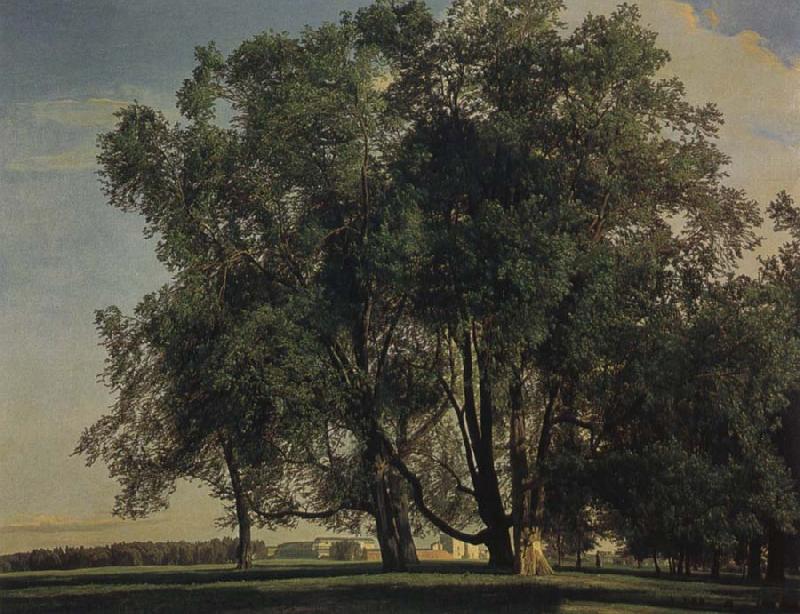Ferdinand Georg Waldmuller Prater Landscape